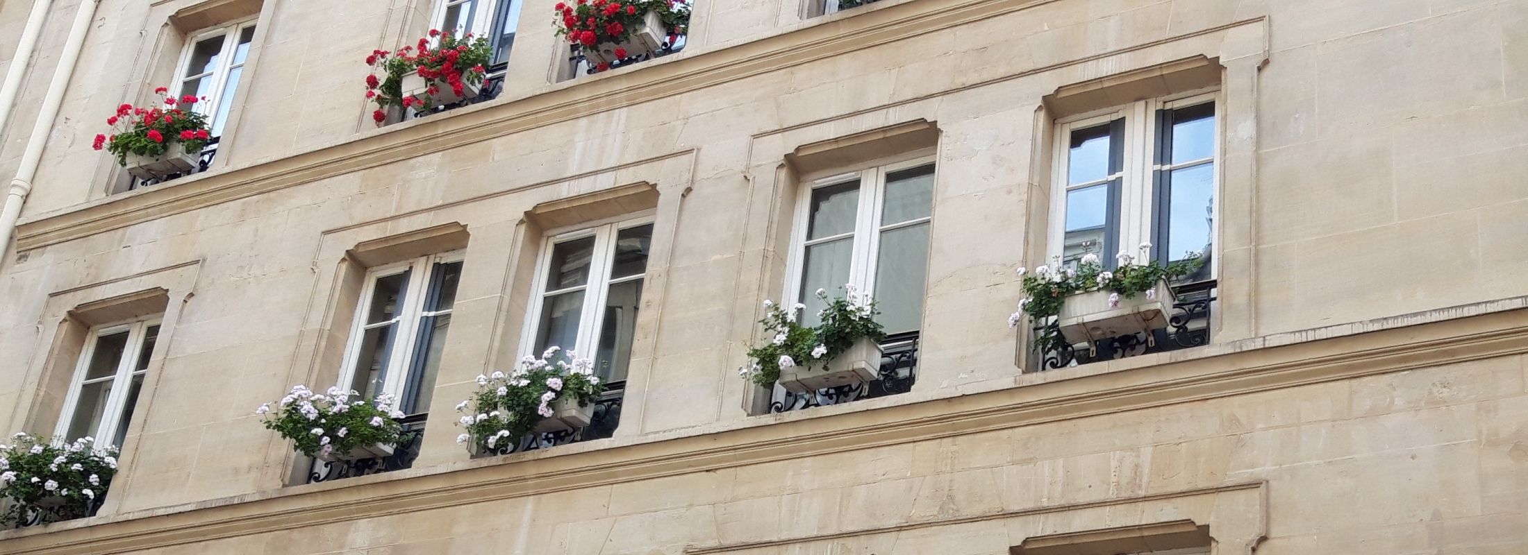 Hotel Central Saint Germain Paris