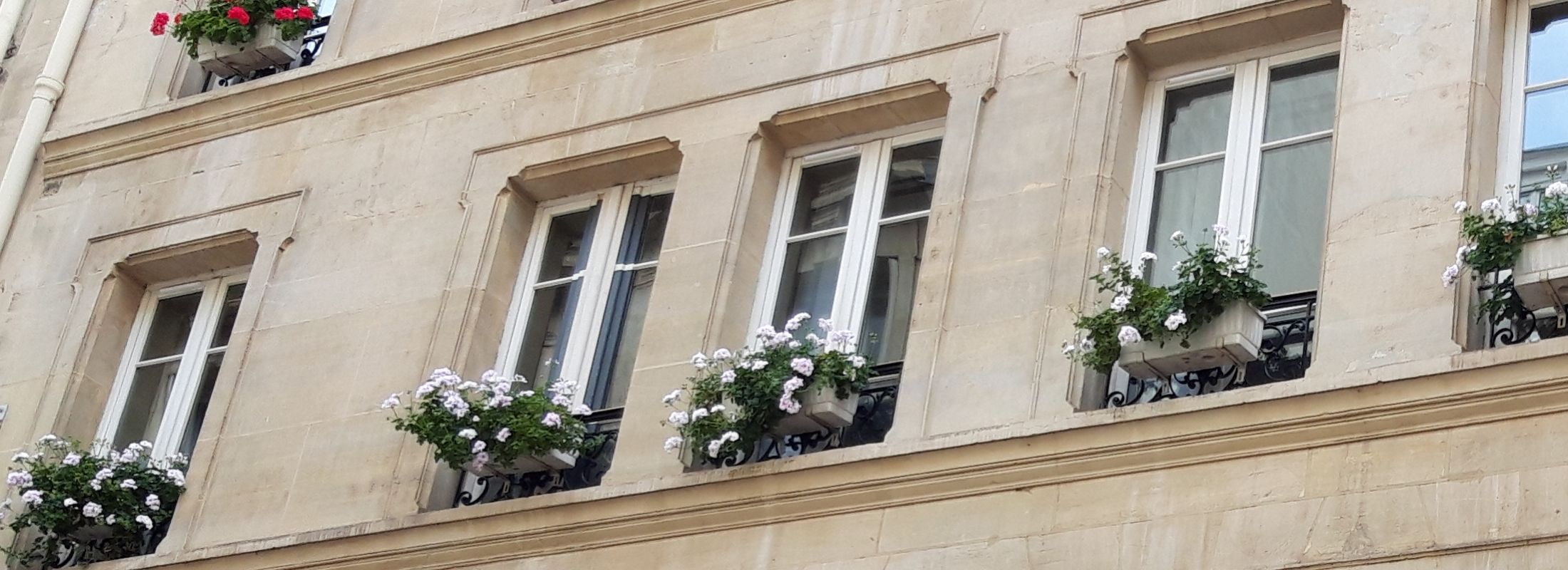 Hotel Central Saint Germain Paris