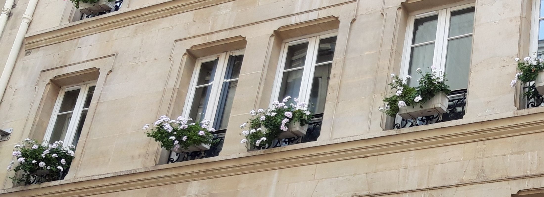 Hotel Central Saint Germain Paris
